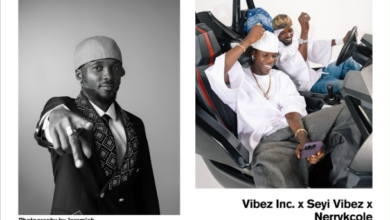 Vibez Inc Ft. Seyi Vibez & Nerrykcole – Shine